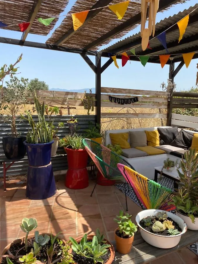 B&B Finca Alegria De La Vida Pizarra