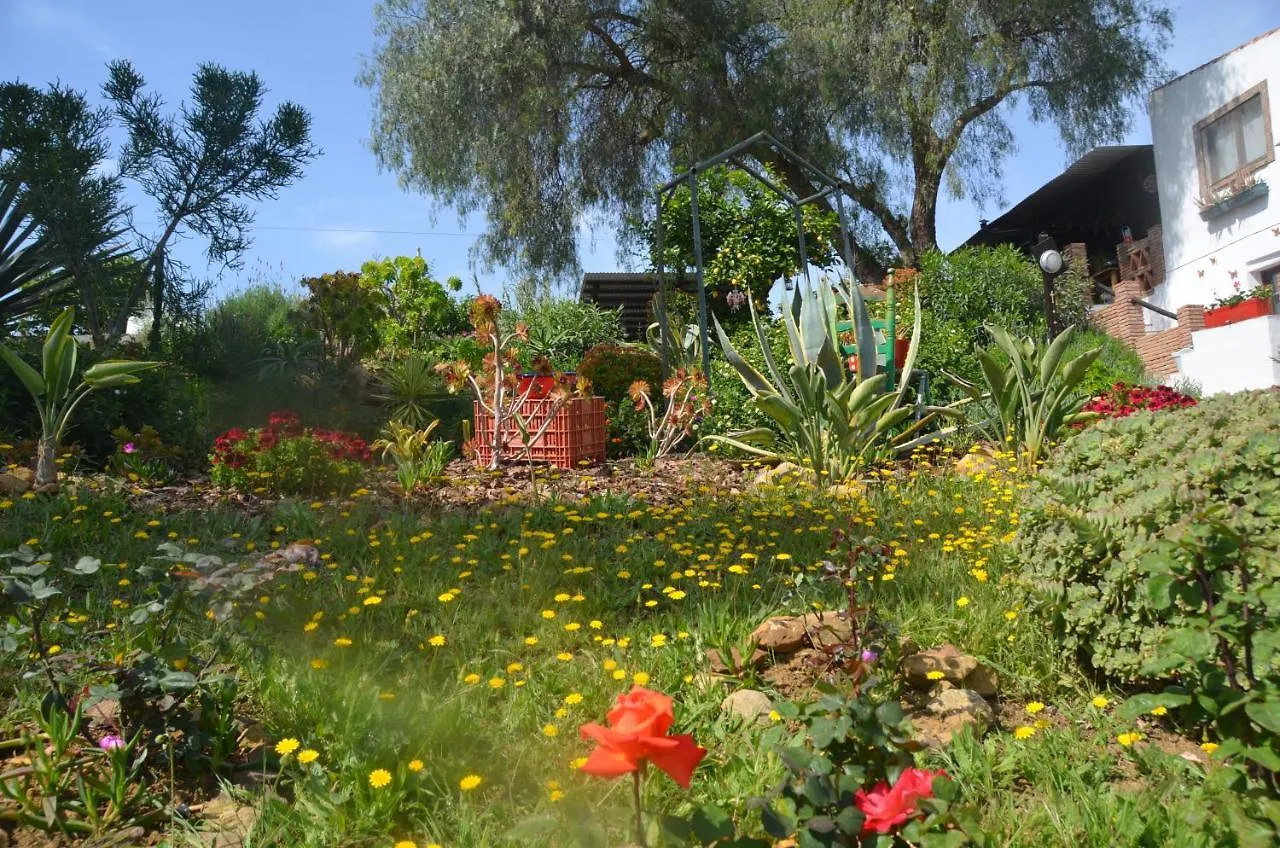 B&B Finca Alegria De La Vida Pizarra