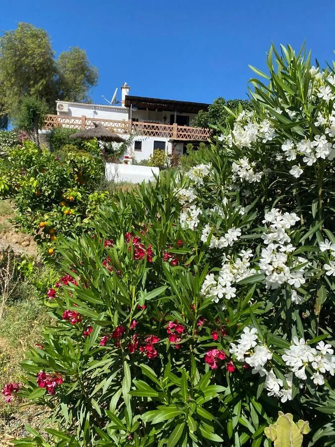 Panzió B&B Finca Alegria De La Vida Pizarra Spanyolország