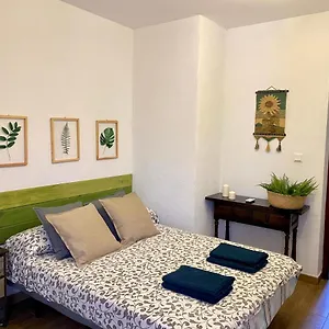 Las Palmeras Pizarra