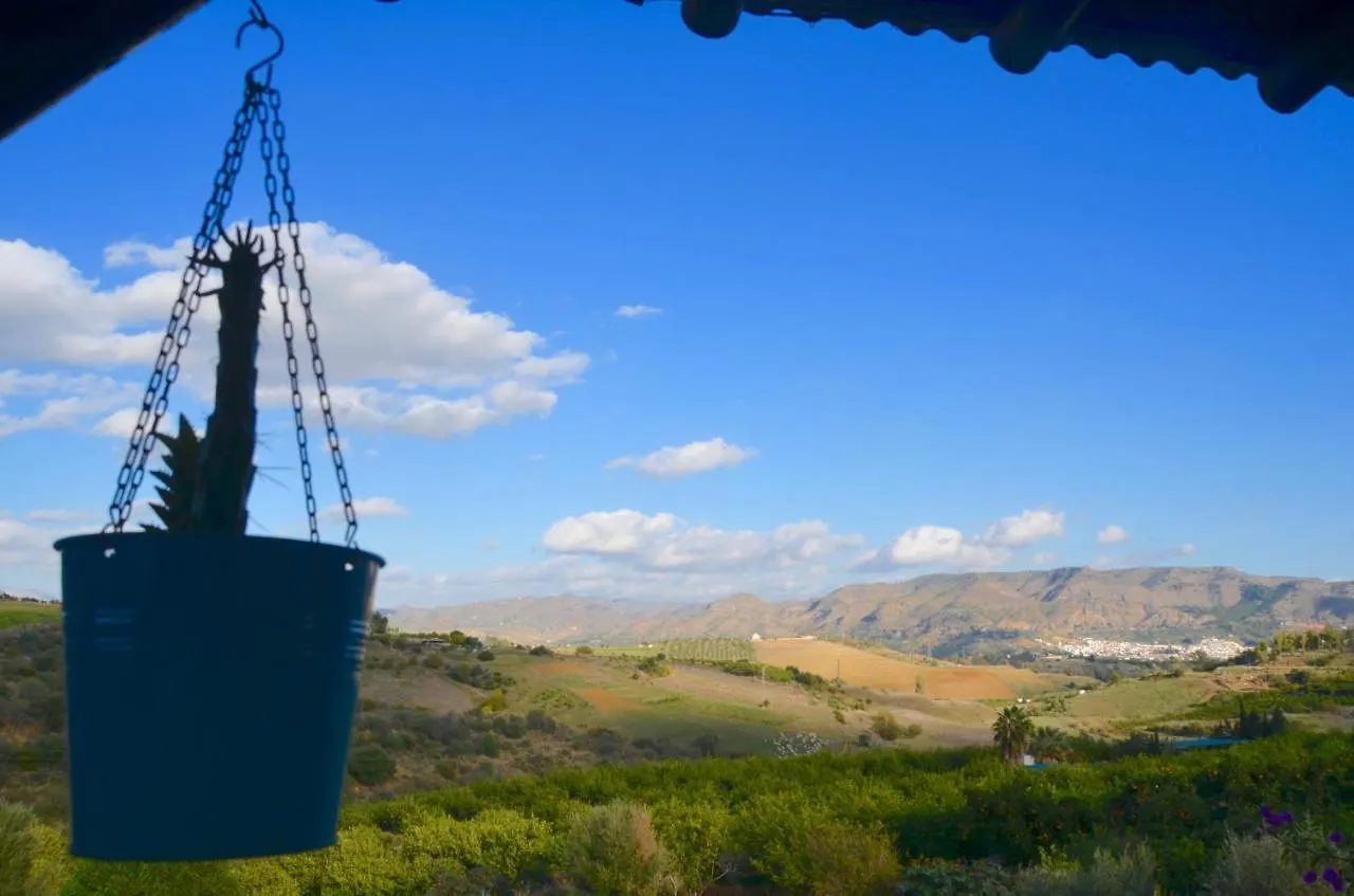 Bed & Breakfast B&B Finca Alegria De La Vida Pizarra Spain